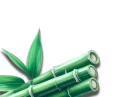 bamboo-image