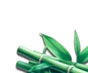bamboo-image